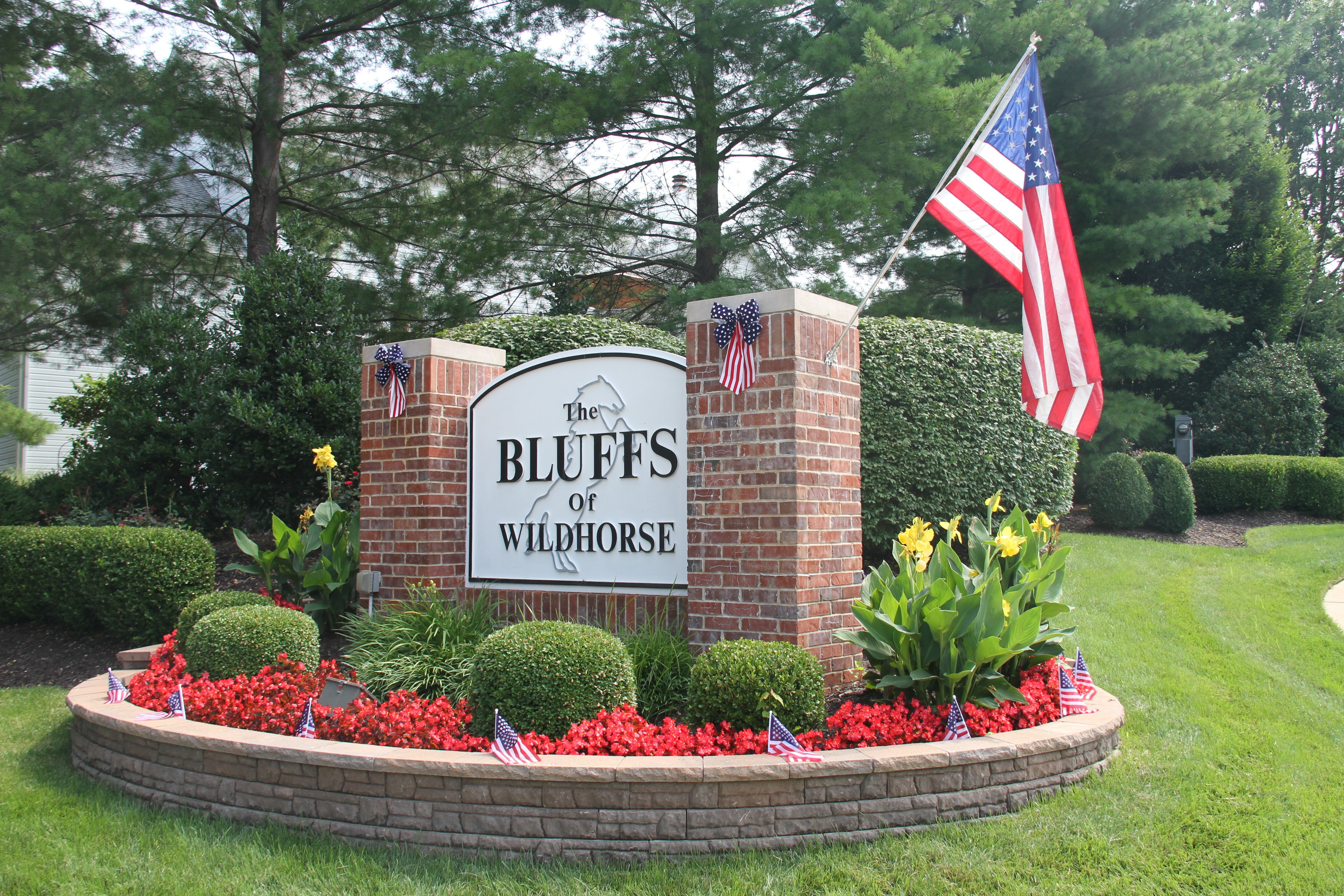 Bluffs_of_Wildhorse_Spring_Annuals_2015.jpg