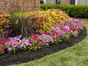 St. Louis Garden Weeding