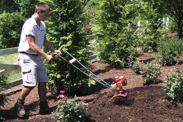 Bed Cultivation