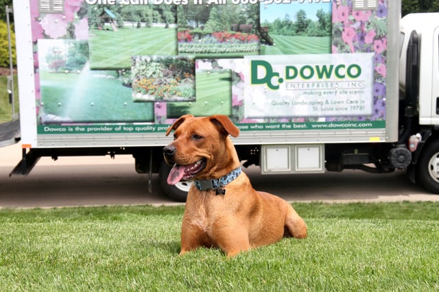 Dowco Broozer Bear
