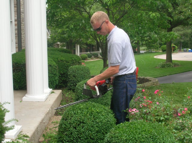 Dowco Trim and Prune Services
