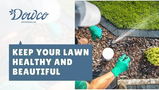Lawn Care and Landscaping Services