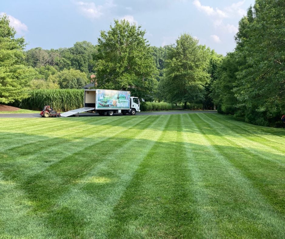 Lawn