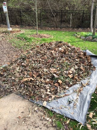 Dowco Spring Bed Cleanup