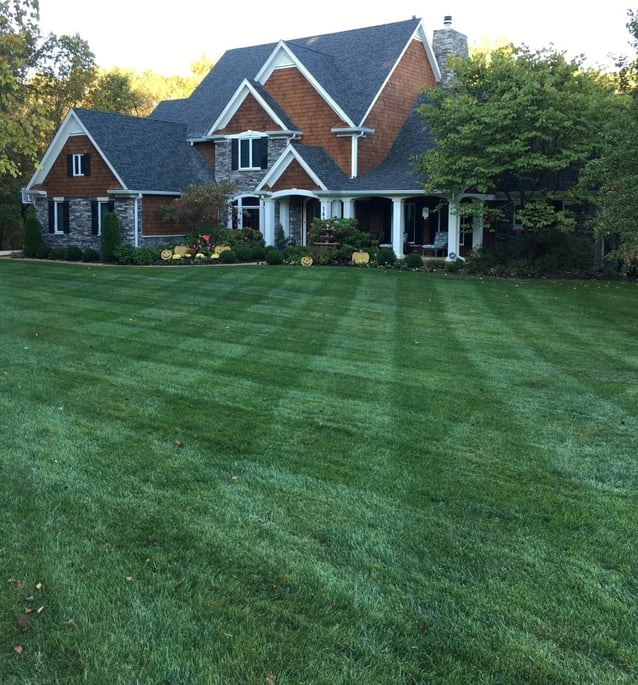 Dowco Lawn Renovation