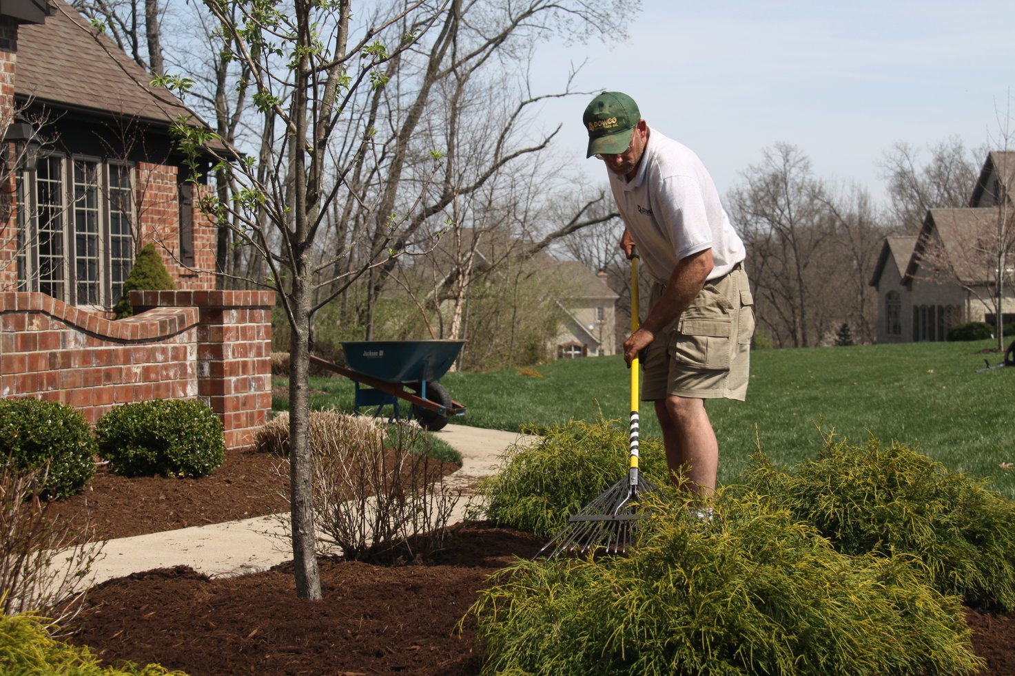 Bed Cleanup and Mulching Service St. Louis MO
