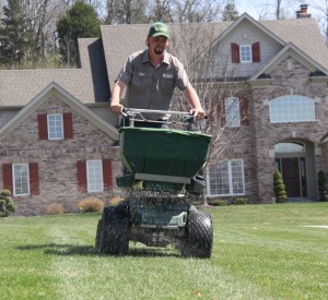 Lawn Fertilization and Weed Control Service St. Louis MO