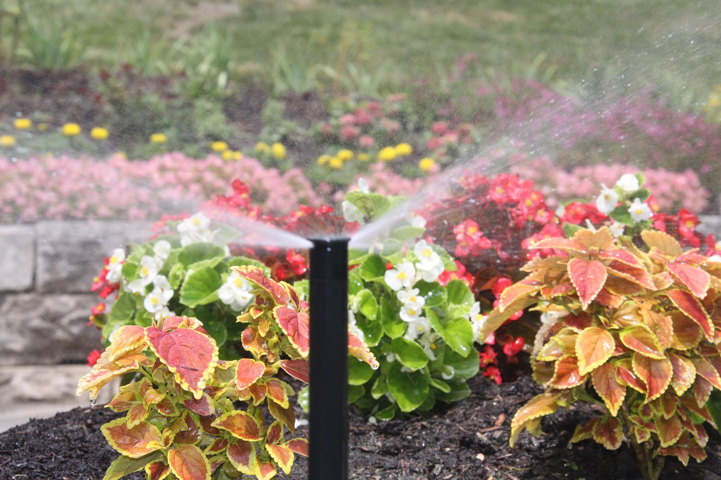 Irrigation System Service St. Louis MO