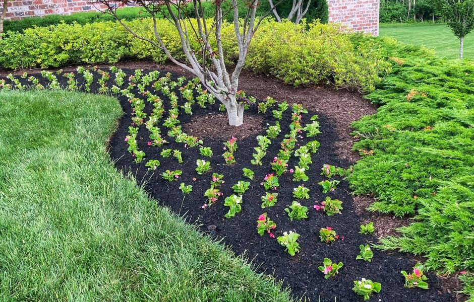 3. Bed maintenance mulch