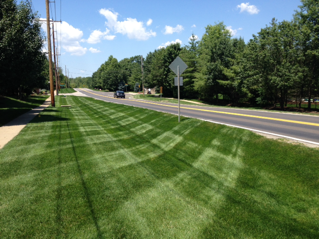 Mowing_Kehrs_Mill