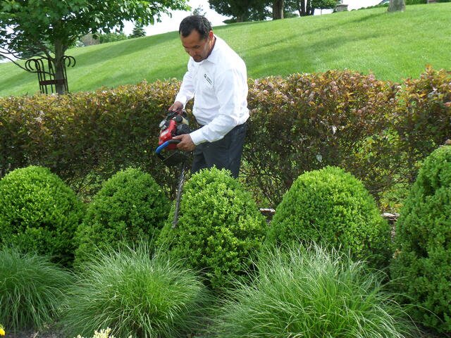 Trimming_and_Pruning