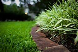 landscaping-service-delaware-300x200