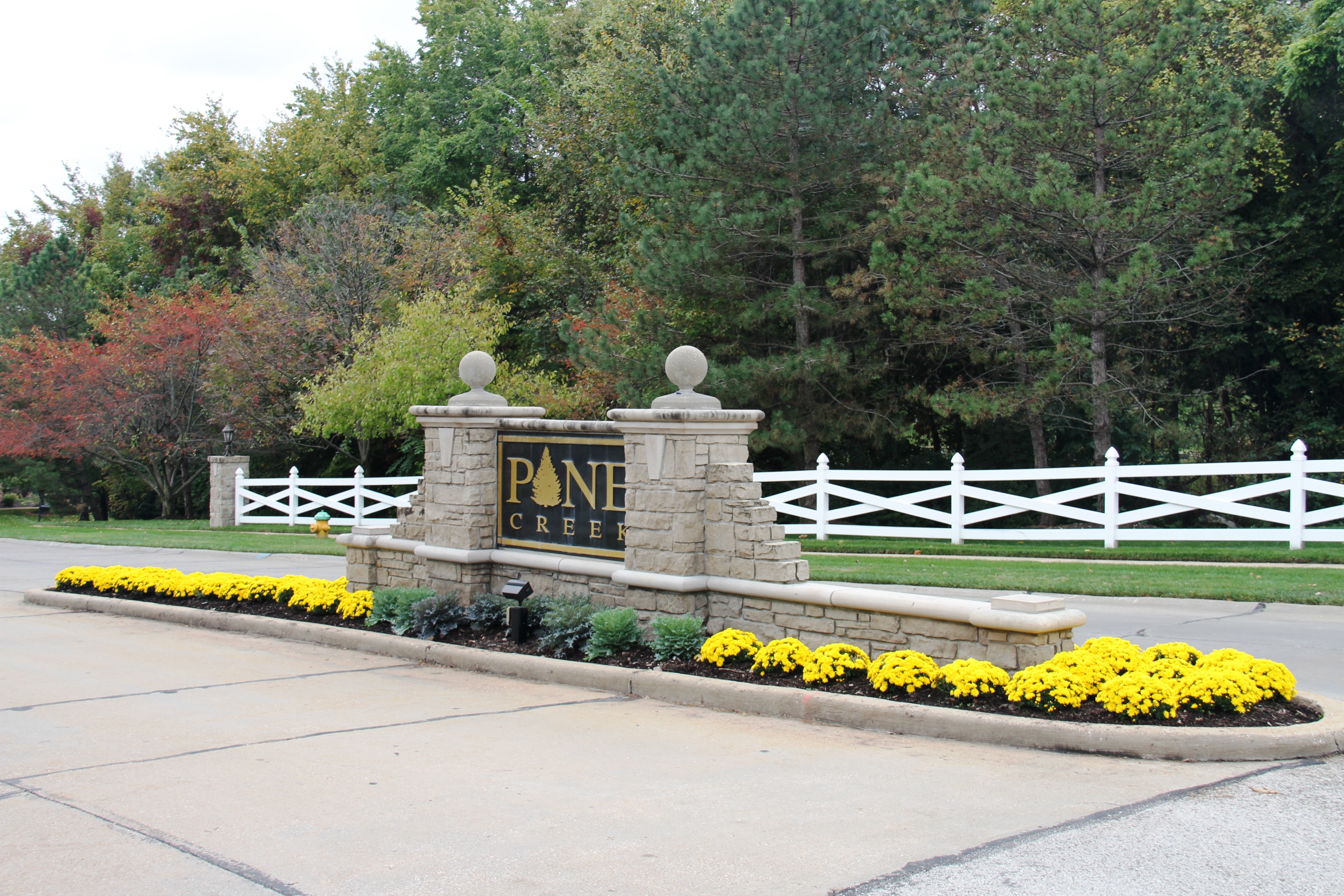 Pine_Creek_Fall_Annuals_2015.jpg