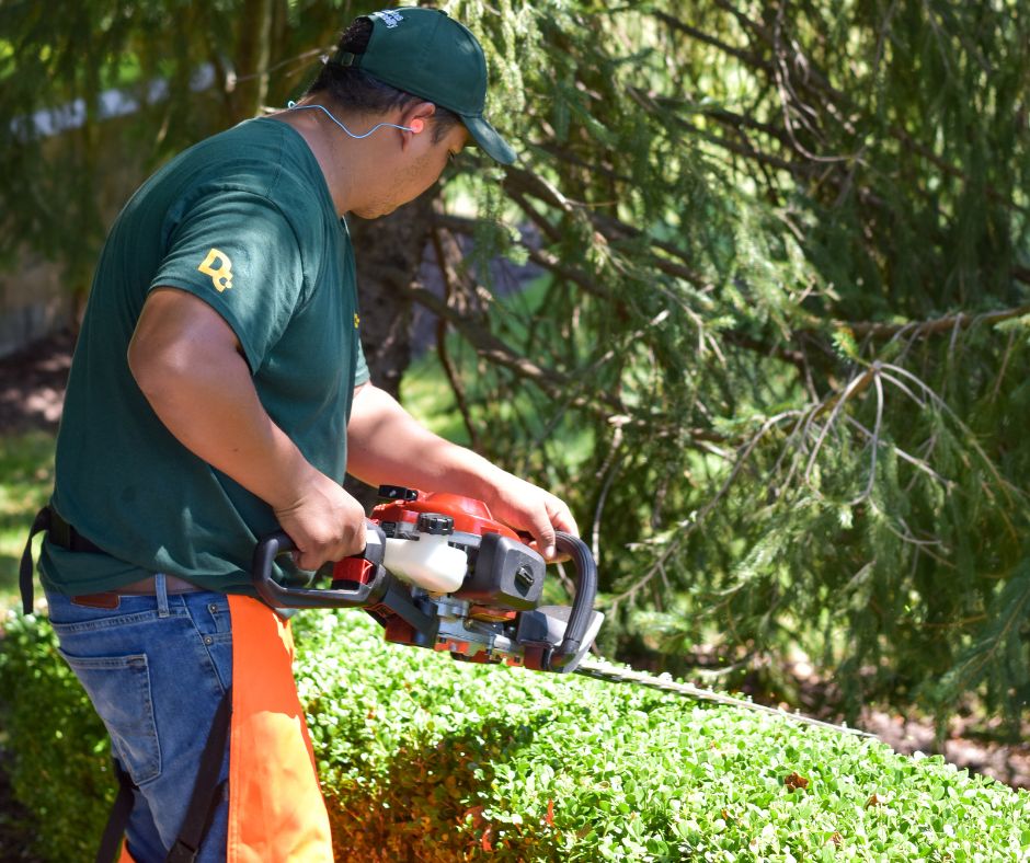 Trimming Pruning (3)